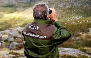 Aos Vigilantes da Natureza da APA, ICNF e CCDRS – Greve 18 de Agosto!